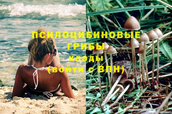 PSILOCYBIN Алексеевка