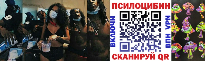 даркнет сайт  Гусь-Хрустальный  Галлюциногенные грибы Psilocybine cubensis 